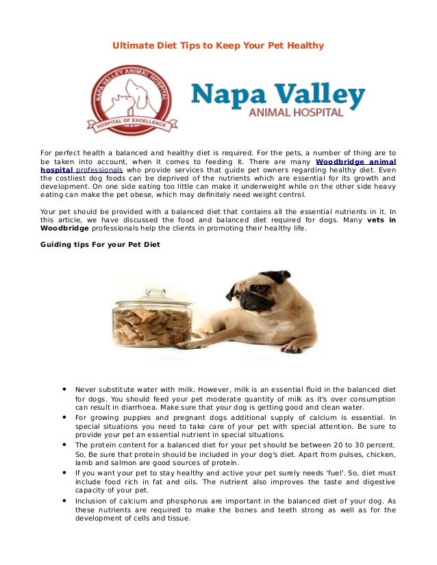 Napa Valley Vets: A Balance of Lives